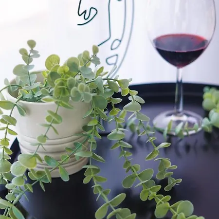 Horizont Dedine 4* Golubac